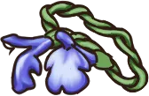 Blue Sage Collar
