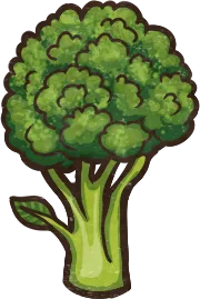 Broccoli