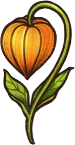 Lantern Berry